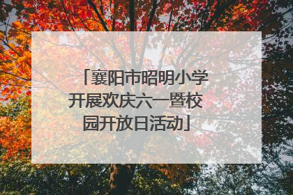 襄阳市昭明小学开展欢庆六一暨校园开放日活动