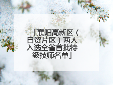 襄阳高新区（自贸片区）两人入选全省首批特级技师名单