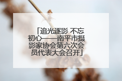 追光逐影 不忘初心——南平市摄影家协会第六次会员代表大会召开