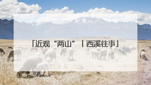近观“两山”丨西溪往事