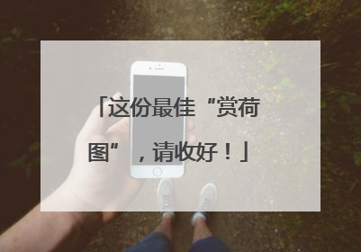 这份最佳“赏荷图”，请收好！