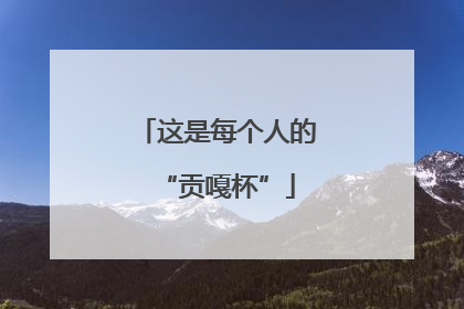 这是每个人的“贡嘎杯”