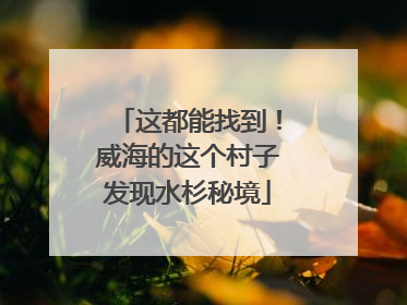 这都能找到！威海的这个村子发现水杉秘境