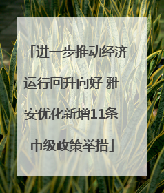 进一步推动经济运行回升向好 雅安优化新增11条市级政策举措