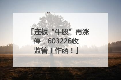 连板“牛股”再涨停，603226收监管工作函！