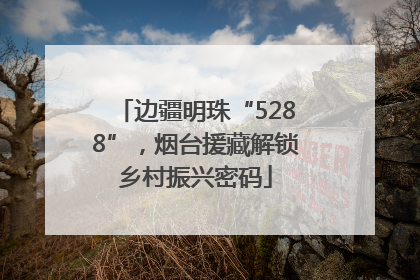 边疆明珠“5288”，烟台援藏解锁乡村振兴密码