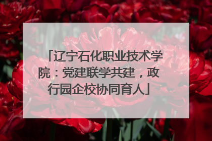 辽宁石化职业技术学院：党建联学共建，政行园企校协同育人