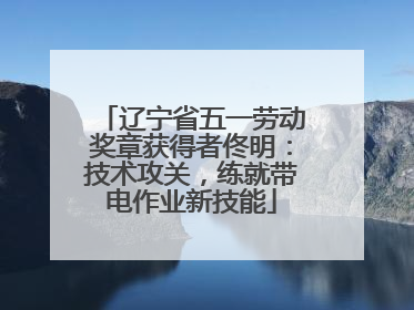 辽宁省五一劳动奖章获得者佟明：技术攻关，练就带电作业新技能