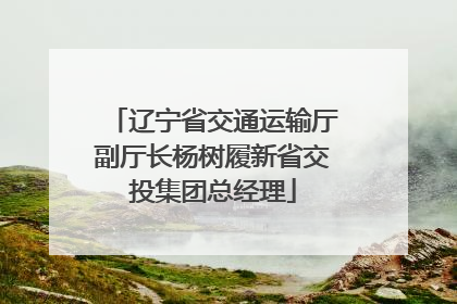 辽宁省交通运输厅副厅长杨树履新省交投集团总经理