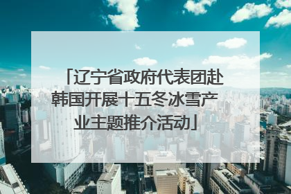 辽宁省政府代表团赴韩国开展十五冬冰雪产业主题推介活动