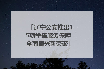 辽宁公安推出15项举措服务保障全面振兴新突破