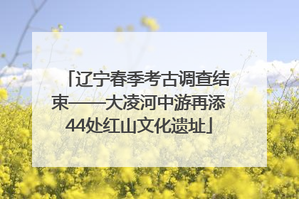 辽宁春季考古调查结束——大凌河中游再添44处红山文化遗址