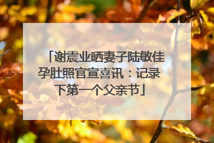 谢震业晒妻子陆敏佳孕肚照官宣喜讯：记录下第一个父亲节
