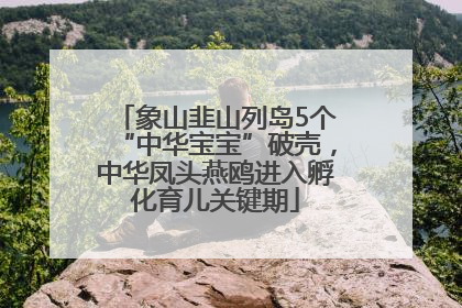 象山韭山列岛5个“中华宝宝”破壳，中华凤头燕鸥进入孵化育儿关键期