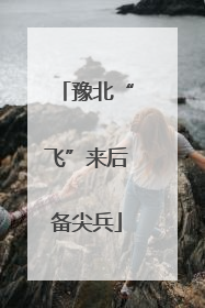 豫北“飞”来后备尖兵