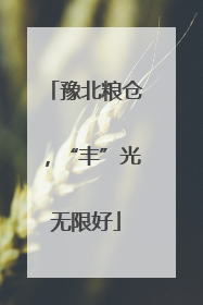 豫北粮仓，“丰”光无限好