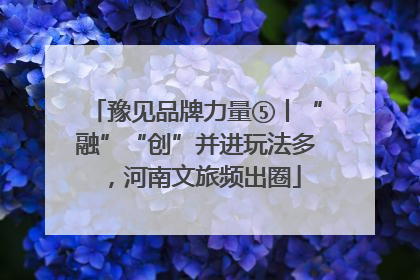 豫见品牌力量⑤丨“融”“创”并进玩法多，河南文旅频出圈