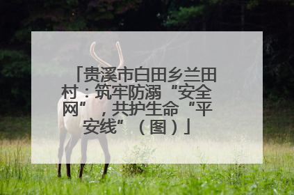 贵溪市白田乡兰田村：筑牢防溺“安全网”，共护生命“平安线”（图）