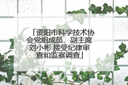 资阳市科学技术协会党组成员、副主席刘小彬 接受纪律审查和监察调查