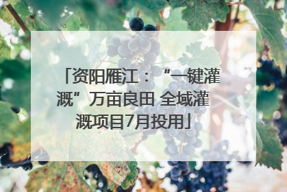 资阳雁江：“一键灌溉”万亩良田 全域灌溉项目7月投用