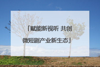 赋能新视听 共创微短剧产业新生态