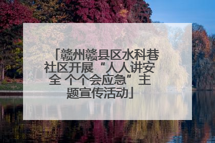 赣州赣县区水科巷社区开展“人人讲安全 个个会应急”主题宣传活动