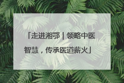走进湘鄂｜领略中医智慧，传承医道薪火