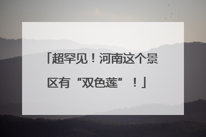 超罕见！河南这个景区有“双色莲”！