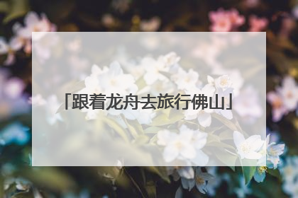 跟着龙舟去旅行佛山