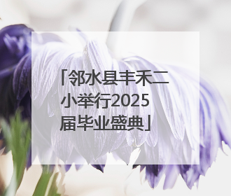 邻水县丰禾二小举行2025届毕业盛典
