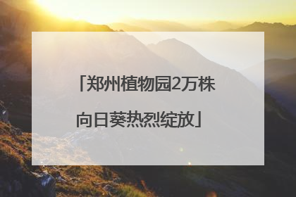 郑州植物园2万株向日葵热烈绽放