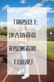 郧西县上津古镇荷花初绽邂逅夏日浪漫