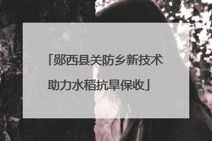 郧西县关防乡新技术助力水稻抗旱保收