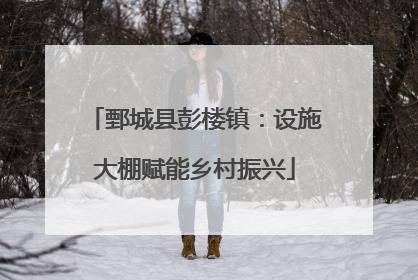 鄄城县彭楼镇：设施大棚赋能乡村振兴