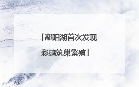 鄱阳湖首次发现彩鹮筑巢繁殖