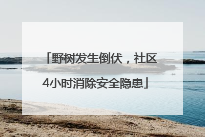 野树发生倒伏，社区4小时消除安全隐患