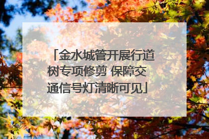 金水城管开展行道树专项修剪 保障交通信号灯清晰可见