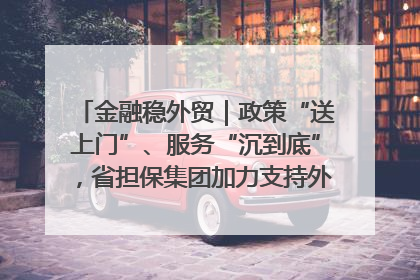 金融稳外贸｜政策“送上门”、服务“沉到底”，省担保集团加力支持外经贸高质量发展