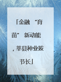 金融 “育苗” 新动能，莘县种业拔节长