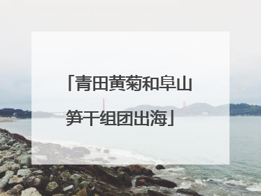 青田黄菊和阜山笋干组团出海