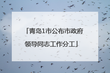 青岛1市公布市政府领导同志工作分工