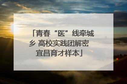 青春“医”线牵城乡 高校实践团解密宜昌育才样本