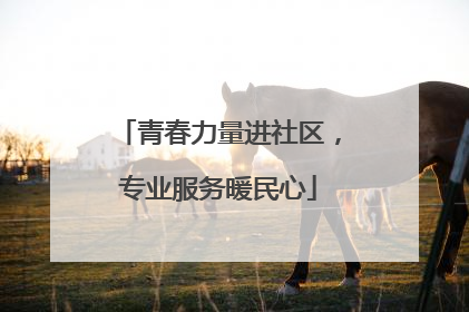 青春力量进社区，专业服务暖民心