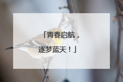 青春启航，逐梦蓝天！