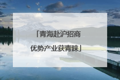 青海赴沪招商 优势产业获青睐