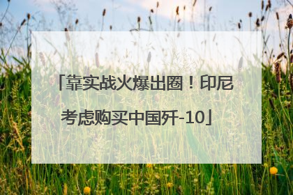 靠实战火爆出圈！印尼考虑购买中国歼-10