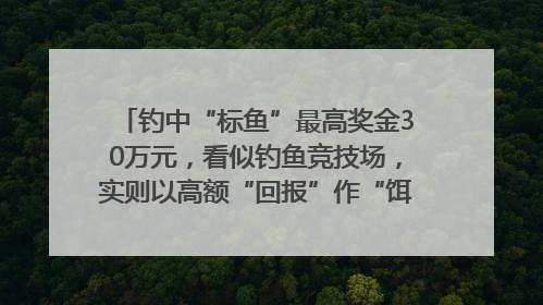 钓中“标鱼”最高奖金30万元，看似钓鱼竞技场，实则以高额“回报”作“饵”……｜今晚九点半