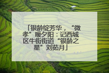 银龄绽芳华，“微孝”暖夕阳：记西城区牛街街道“银龄之星”刘茹月