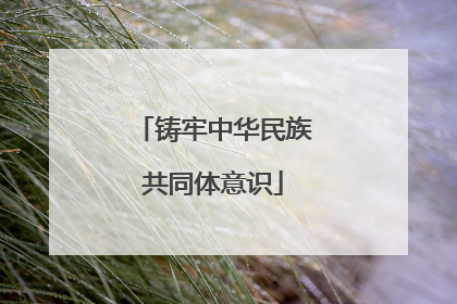 铸牢中华民族共同体意识