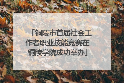 铜陵市首届社会工作者职业技能竞赛在铜陵学院成功举办